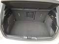 Ford Focus 1.5 EcoBlue  Aut. ST-LINE X Argento - thumbnail 7