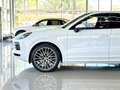 Porsche Cayenne Coupé Aut. Blanco - thumbnail 9