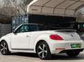 Volkswagen Beetle 60´s Sport Cabrio*Vollausstattung Weiß - thumbnail 6