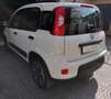 Fiat Panda 1.0 firefly hybrid s&s 70cv - thumbnail 3