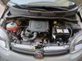 Fiat Panda 1.0 firefly hybrid s&s 70cv - thumbnail 10