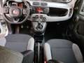 Fiat Panda 1.0 firefly hybrid s&s 70cv - thumbnail 8