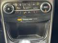 Ford Puma 1.0 EcoBoost Hybrid ST-Line X First Edition Apple/ Grijs - thumbnail 48