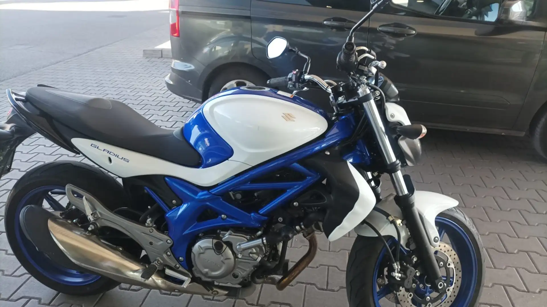 Suzuki Gladius 650 Kék - 2