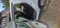 Renault ZOE ZOE (ohne Batterie) 22 kwh ZE White - thumbnail 4