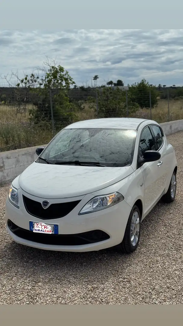 Lancia Ypsilon 1.3 mjt Silver c/clima s&s 95cv - 1