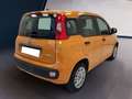 Fiat Panda III 2021 1.0 firefly hybrid s&s 70cv Oranje - thumbnail 6