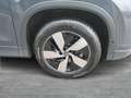 Volkswagen Tayron Friends TDI DSG Grau - thumbnail 7