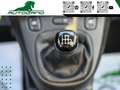 Fiat Panda Cross 1.0 FireFly Hy UniPro  UConnect 7 Pollici Grigio - thumbnail 9