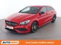 Mercedes-Benz CLA 220 CLA 220 Shooting Brake AMG Line Rot - thumbnail 1