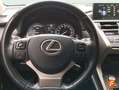 Lexus NX 300 300h Business Navigation 2WD Gris - thumbnail 16
