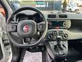 Fiat Panda 1,2 *ITALIA* - nur 19000 km - Weiß - thumbnail 11