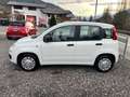 Fiat Panda 1,2 *ITALIA* - nur 19000 km - Weiß - thumbnail 4