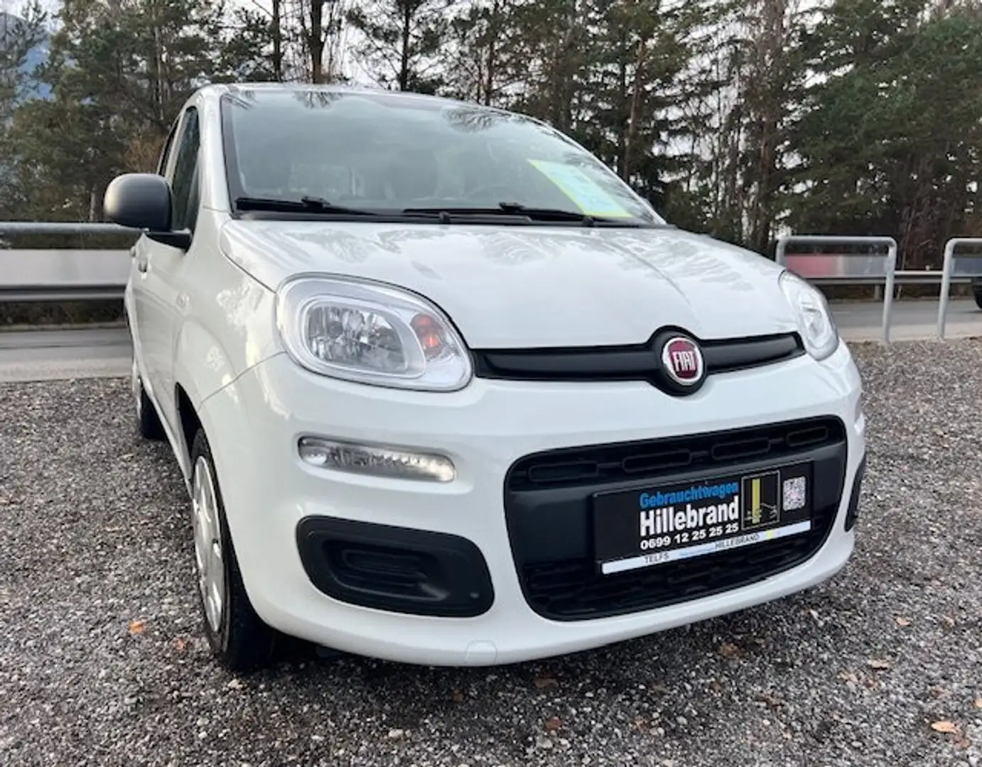 Fiat Panda 1,2 *ITALIA* - nur 19000 km - Weiß - 2