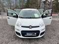 Fiat Panda 1,2 *ITALIA* - nur 19000 km - Weiß - thumbnail 3