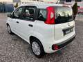 Fiat Panda 1,2 *ITALIA* - nur 19000 km - Weiß - thumbnail 5