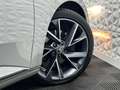Skoda Superb 2.0 TDI SPORTLINE/VIRT/PANO/CARBON/R-CAM Gris - thumbnail 19