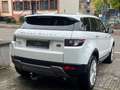 Land Rover Range Rover Evoque 190PS Aut. PANORAMA Weiß - thumbnail 6