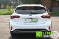 Ford Focus 1.0 EcoBoost Hybrid 125 CV 5p. Active Style Bianco - thumbnail 11