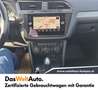 Volkswagen Tiguan VW Tiguan Alls. CL TDI 4MOTION DSG 5-Sitzer Gris - thumbnail 12