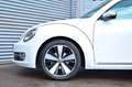Volkswagen Beetle Lim. Cup  "PANORAMA/LED/S.HEFT" bijela - thumbnail 6