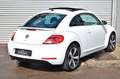 Volkswagen Beetle Lim. Cup  "PANORAMA/LED/S.HEFT" Blanc - thumbnail 9