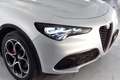 Alfa Romeo Stelvio Stelvio 2.2 Turbodiesel 210 CV AT8 Q4 Veloce Argento - thumbnail 6