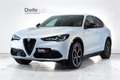 Alfa Romeo Stelvio Stelvio 2.2 Turbodiesel 210 CV AT8 Q4 Veloce Argento - thumbnail 1