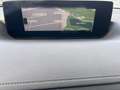 Mazda MX-30 Advantage SHZ Navi Apple CarPlay Temp Klima ACC No Negro - thumbnail 9