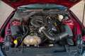 Ford Mustang 3,7 DARK HORSE LED 20 ° TOP Rouge - thumbnail 24