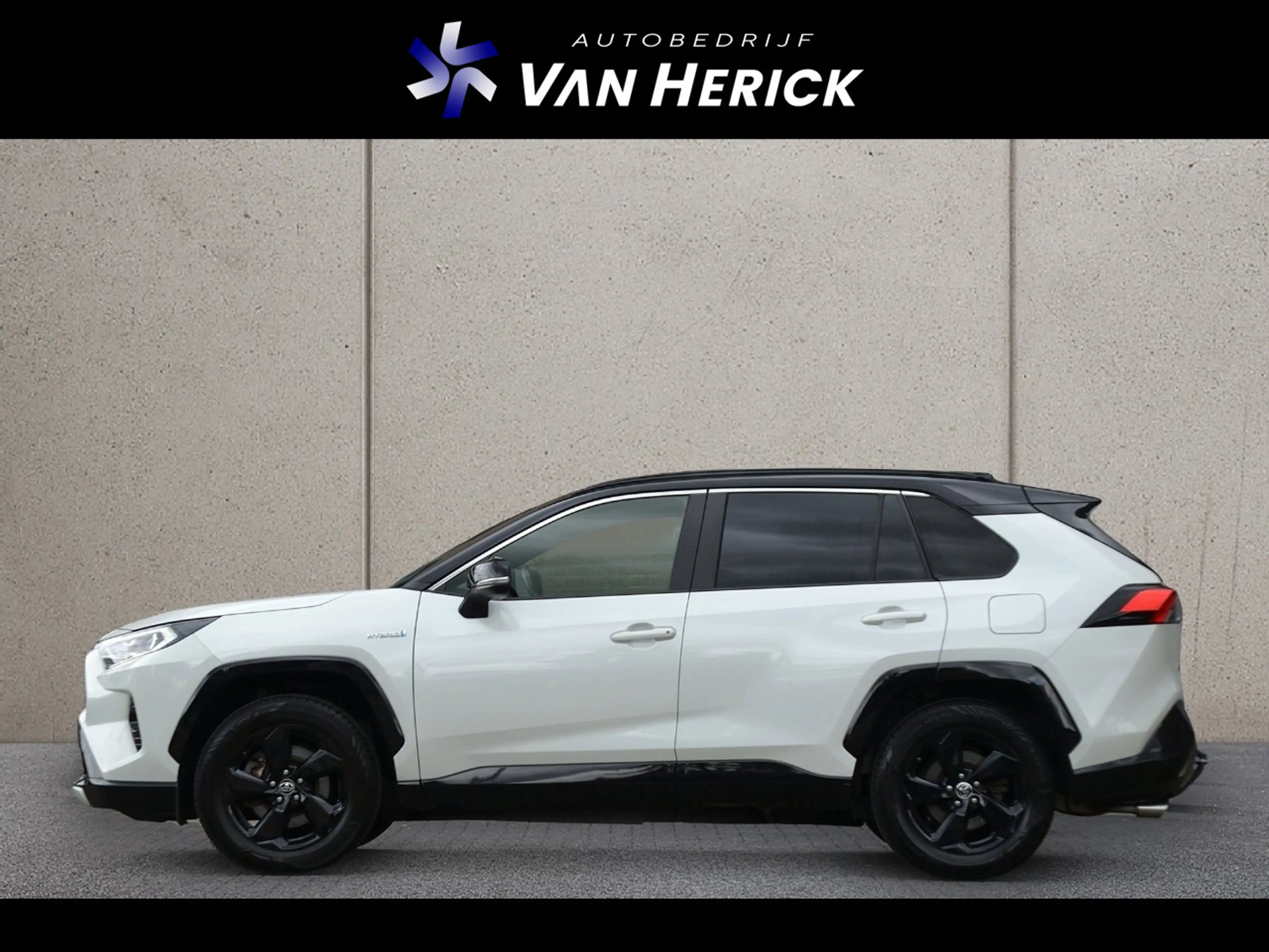 Toyota RAV 4 2.5 Hybrid Bi-Tone | Panoramadak | Trekhaak | Acht — photo 2
