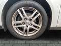 Ford Focus Turnier Trend Zahnriemen neu AHK AluFelgen Silber - thumbnail 9