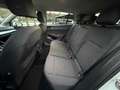 Volkswagen Golf Golf VIII 2020 1.0 etsi evo Life 110cv dsg Bianco - thumbnail 8