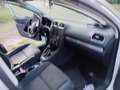 Volkswagen Golf Golf VI 2008 5p 1.4 United 80cv (motore fuso) Bianco - thumbnail 1