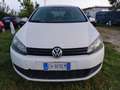 Volkswagen Golf Golf VI 2008 5p 1.4 United 80cv (motore fuso) Bianco - thumbnail 5