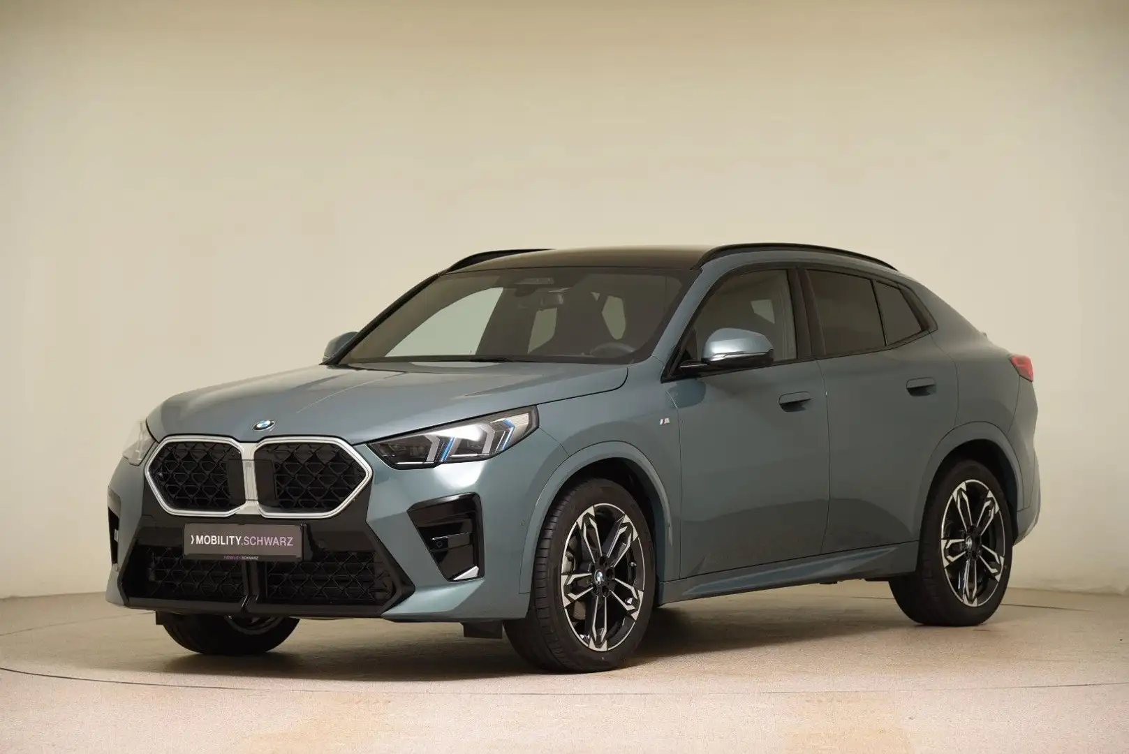 BMW X2 sDrive18d M Sportpaket DriveAssProf AHK Pano Vert - 1
