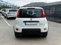 Fiat Panda 1.0 Gse Hybrid Blanco - thumbnail 8