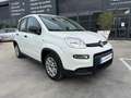 Fiat Panda 1.0 Gse Hybrid Blanco - thumbnail 1