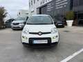 Fiat Panda 1.0 Gse Hybrid Blanco - thumbnail 10