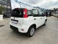 Fiat Panda 1.0 Gse Hybrid Blanco - thumbnail 11