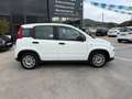 Fiat Panda 1.0 Gse Hybrid Blanco - thumbnail 7