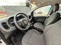 Fiat Panda 1.0 Gse Hybrid Blanco - thumbnail 4