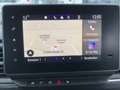 Renault Trafic Pkw Grand Life Blue dCi 150 EDC Noir - thumbnail 11