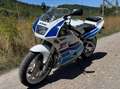 Suzuki RGV 250 Bianco - thumbnail 4