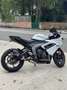 Triumph Daytona 660 Vendo mi Triumph Daytona 660 del ano ____ con solo Blanco - thumbnail 2