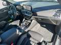 BMW X4 xDrive30d AT M Sportpaket Innovationsp. AHK Grau - thumbnail 9