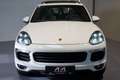 Porsche Cayenne Cayenne II Platinum Edition 3,0 Aut. Weiß - thumbnail 5