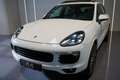 Porsche Cayenne Cayenne II Platinum Edition 3,0 Aut. Weiß - thumbnail 4