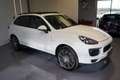 Porsche Cayenne Cayenne II Platinum Edition 3,0 Aut. Weiß - thumbnail 6
