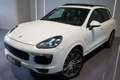 Porsche Cayenne Cayenne II Platinum Edition 3,0 Aut. Weiß - thumbnail 2